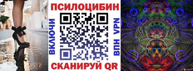 это Telegram  mega ссылки  Горбатов  Галлюциногенные грибы мицелий 